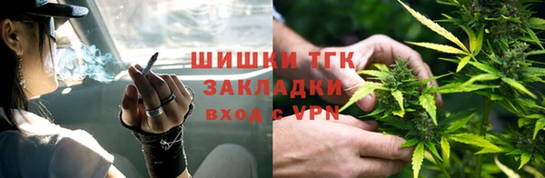 спиды Аркадак