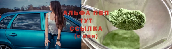 спиды Аркадак