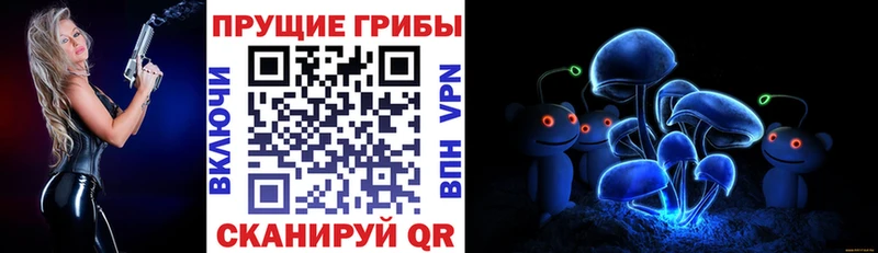 как найти закладки  Сенгилей  Галлюциногенные грибы MAGIC MUSHROOMS 